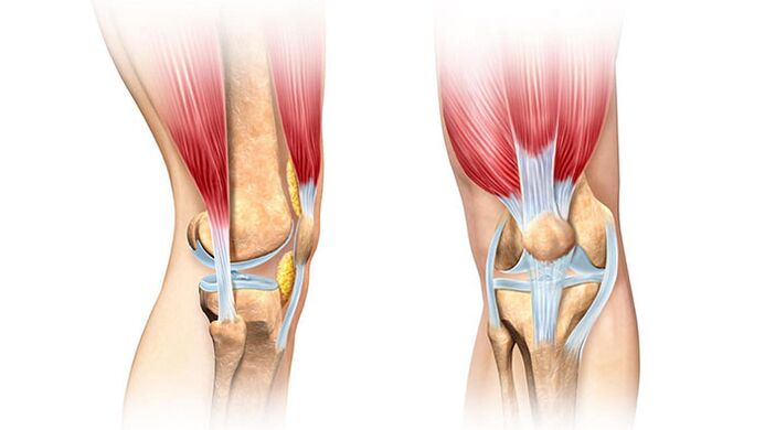 La articulación de la rodilla y su tratamiento del dolor. 