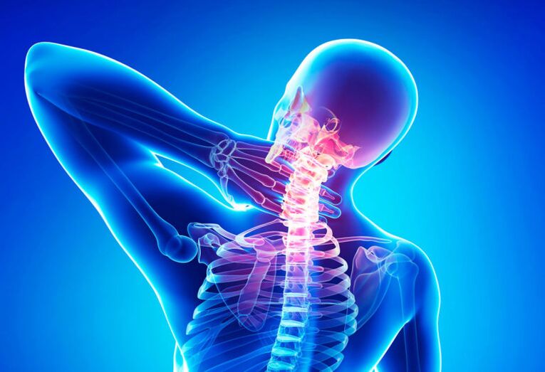 Osteocartílago de la vértebra cervical