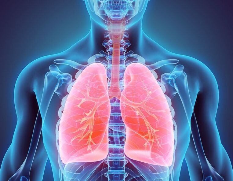 Los bronquios y los pulmones son fuentes de dolor.