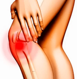 anatomía de la articulación de la rodilla